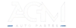AGM Auto Partes